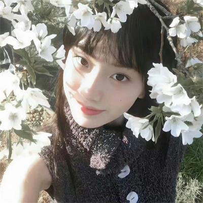 哈利·波特与死亡圣器(下)