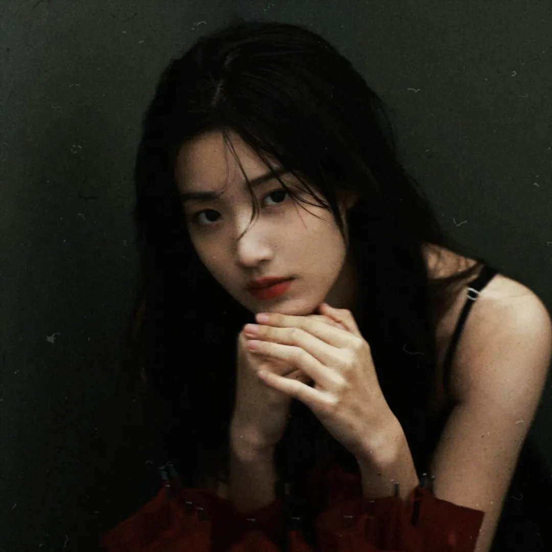 灰天鹅绒上的四只苍蝇